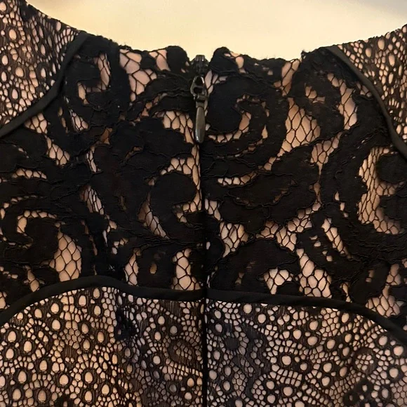 BCBGMaxAzria Black and Nude Lace Dress - Picture 6 of 9